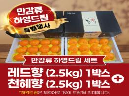 제주 만감류 ‘하영드림’… 고향사랑기부 답례품 파격 구성 기사 이미지