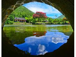 전남 관광지·축제 12곳, 문체부 로컬100 선정…역대 최다 기사 이미지