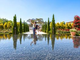 겨울 끝자락, 봄의 문턱에서 곡성을 만나다. 기사 이미지