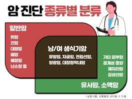 비갱신형 암보험, 3대진단비 준비할 때 보험비교사이트 활용한 가성비 추구 기사 이미지