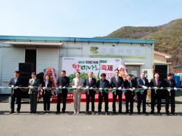 의령 가례 밭미나리 축제 성황…3천 명 방문·미나리 완판 기사 이미지