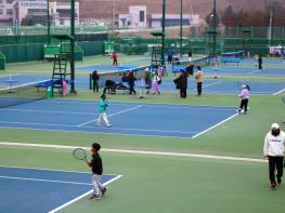 2026 안동시장배 전국초등학교 테니스대회 개최 기사 이미지