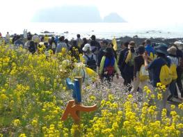서귀포시, 제28회 서귀포 유채꽃 국제걷기대회 성황리 개최 기사 이미지