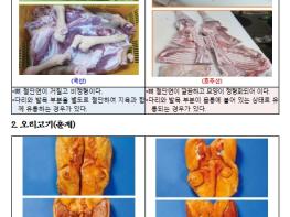 국립농산물품질관리원, 봄 행락철, 염소·오리고기 원산지 표시 일제점검 실시 기사 이미지