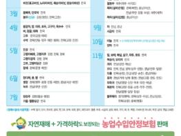 제주도, 감귤 농가 소득 안정 강화, 레드향 열과 피해도 보상 반영 기사 이미지