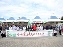 제8회 홍천 산나물축제 흥행 폭발… 4만 인파·6억 매출에 완판 행진까지 기사 이미지