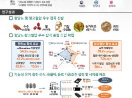 농촌진흥청, 국산 혼합 잡곡 건강 돌봄식 소재로 주목받아 기사 이미지