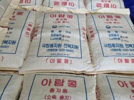 제주도 농업기술원, 2026년도 나물콩 우량종자 84.5톤 보급 완료 기사 이미지