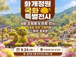 강화 화개정원, 가을맞이 '국화 조형물 및 미로 특별 전시' 선보여 기사 이미지