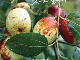 가을의 맛을 오래도록…경북문화관광공사, 10월 METI 미식여행 공개 기사 이미지